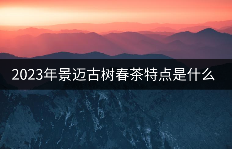 2023年景邁古樹春茶特點是什么？