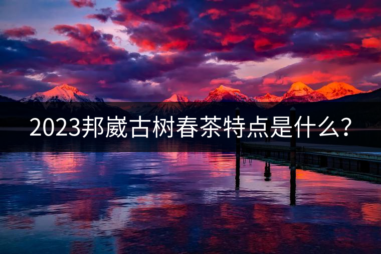 2023邦崴古樹春茶特點是什么？