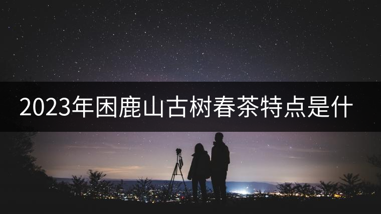 2023年困鹿山古樹(shù)春茶特點(diǎn)是什么？
