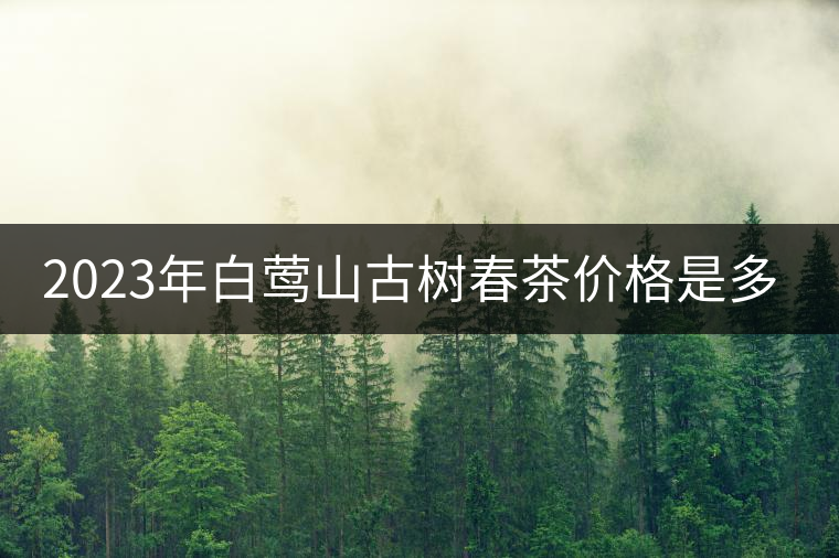 2023年白鶯山古樹春茶價(jià)格是多少？