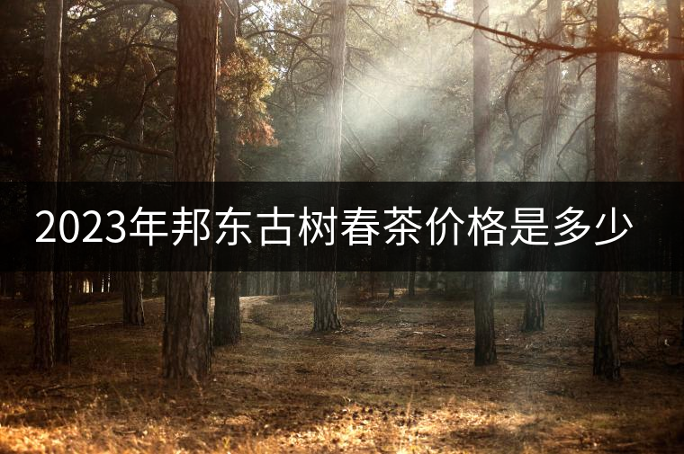 2023年邦東古樹春茶價(jià)格是多少? 2023年邦東古樹春茶價(jià)格是多少?