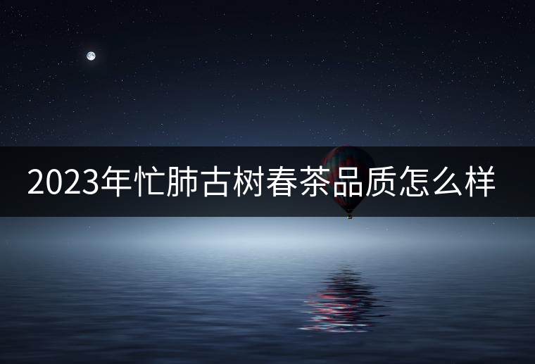 2023年忙肺古樹春茶品質(zhì)怎么樣？