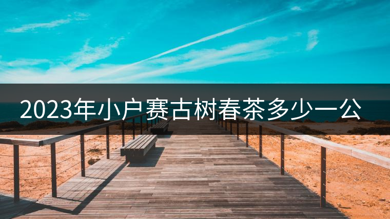2023年小戶賽古樹春茶多少一公斤? 2023年小戶賽古樹春茶多少一公斤?