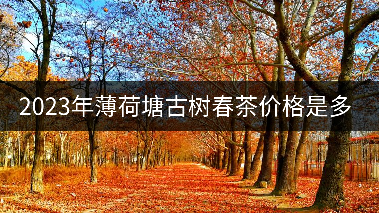 2023年薄荷塘古樹春茶價(jià)格是多少？