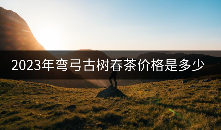 2023年彎弓古樹春茶價(jià)格是多少？