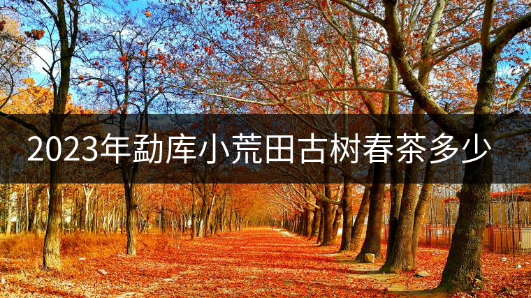 2023年勐庫(kù)小荒田古樹(shù)春茶多少一公斤？