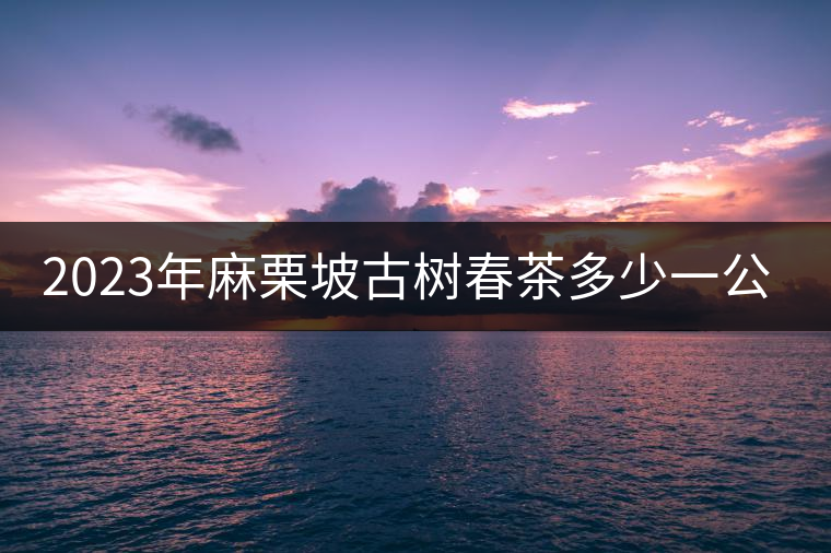 2023年麻栗坡古樹春茶多少一公斤？