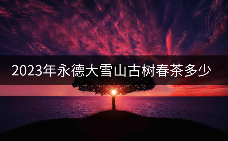 2023年永德大雪山古樹春茶多少一公斤？