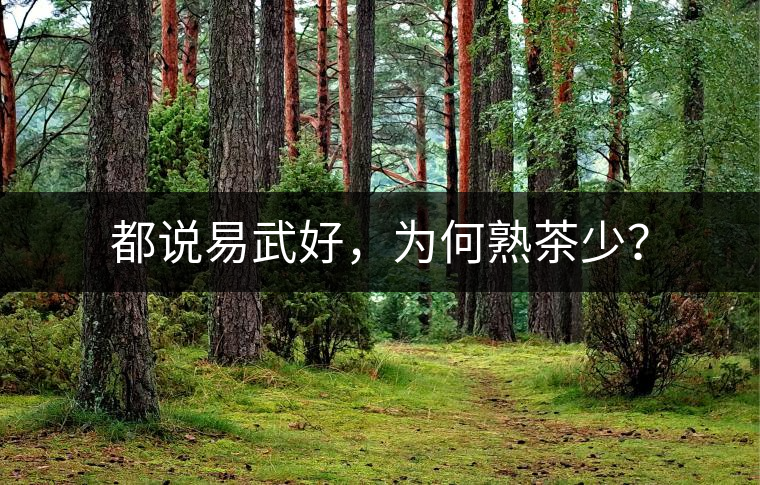 都說易武好，為何熟茶少？