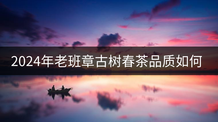 2024年老班章古樹春茶品質如何？