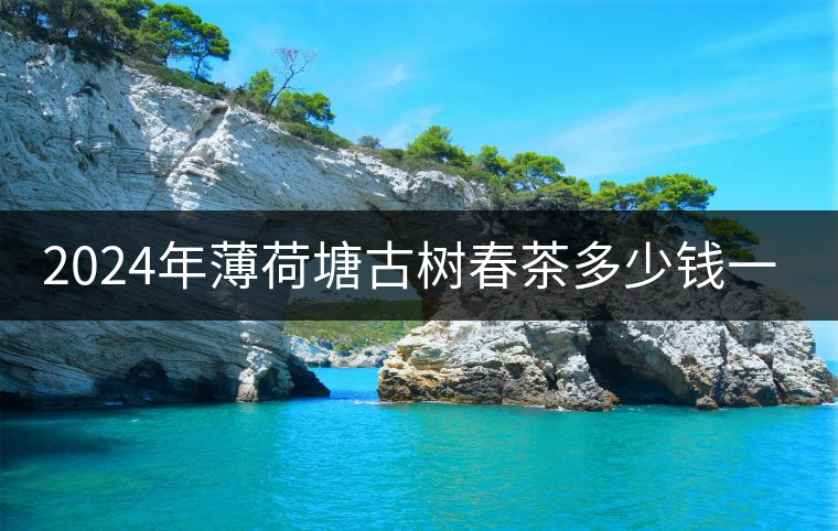 2024年薄荷塘古樹(shù)春茶多少錢一公斤？