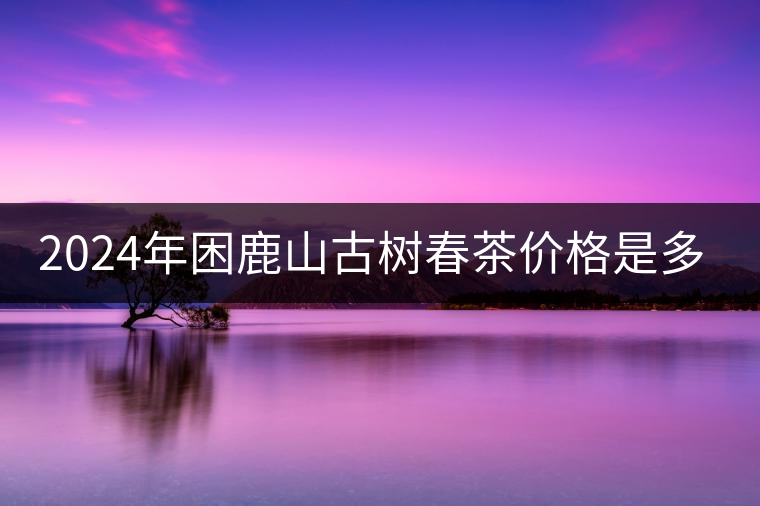2024年困鹿山古樹春茶價格是多少？