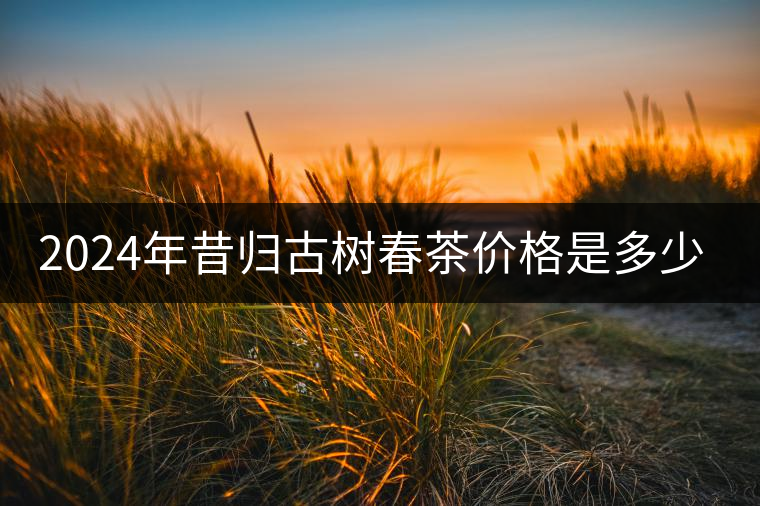 2024年昔歸古樹春茶價格是多少? 2024年昔歸古樹春茶價格是多少?