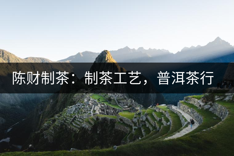 陳財制茶：制茶工藝，普洱茶行業(yè)的生死線