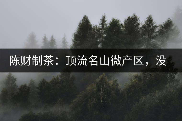 陳財制茶：頂流名山微產(chǎn)區(qū)，沒有意義的意義