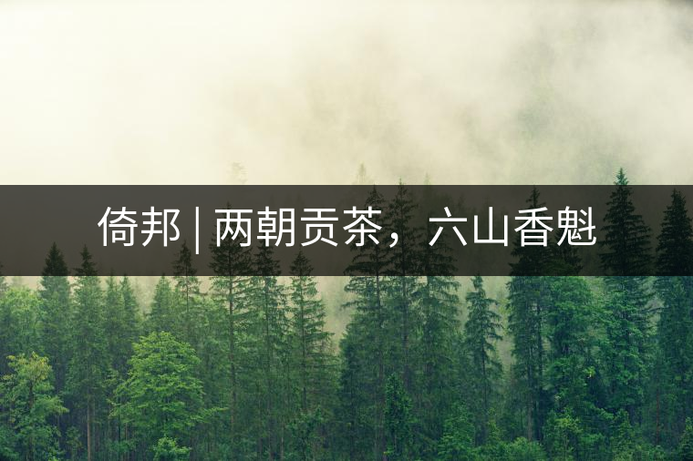 倚邦 | 兩朝貢茶，六山香魁