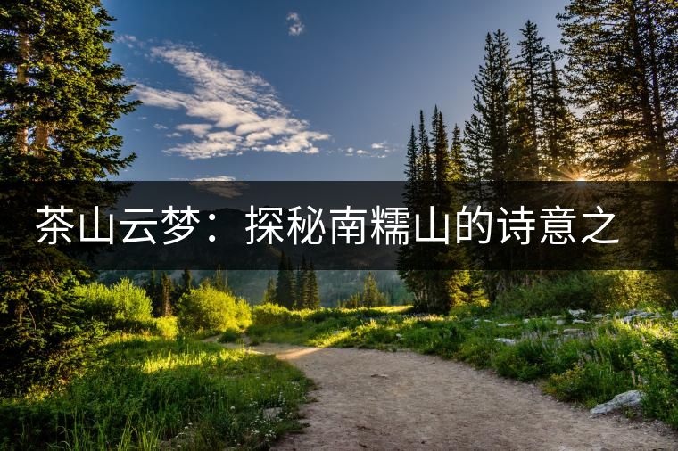 茶山云夢(mèng)：探秘南糯山的詩意之旅