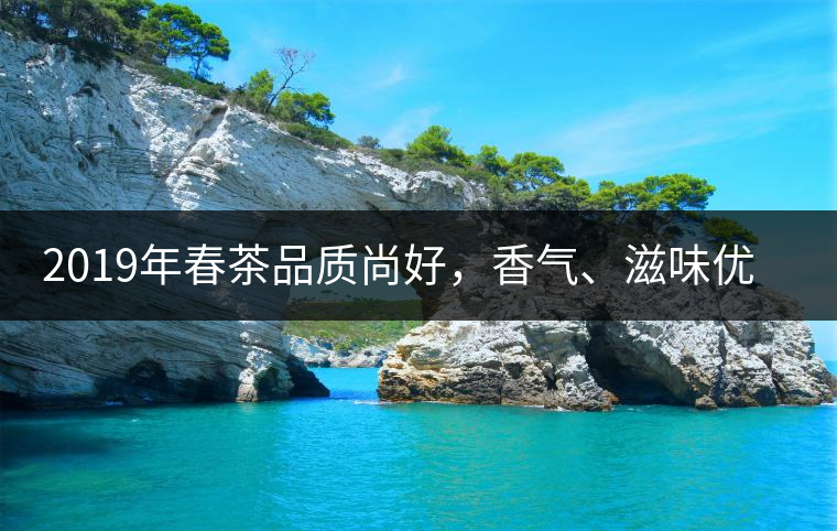 2019年春茶品質(zhì)尚好，香氣、滋味優(yōu)于去年