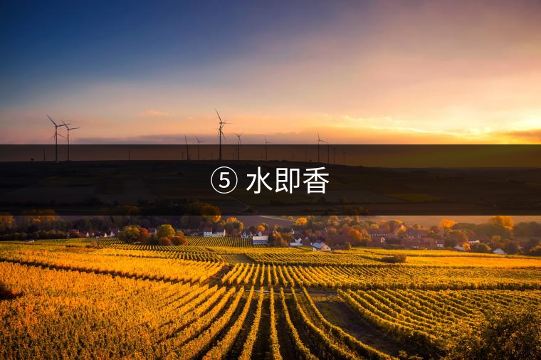 ⑤ 水即香