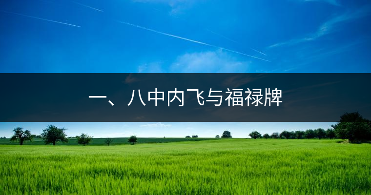 一、八中內(nèi)飛與福祿牌