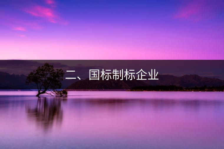 二、國標(biāo)制標(biāo)企業(yè)