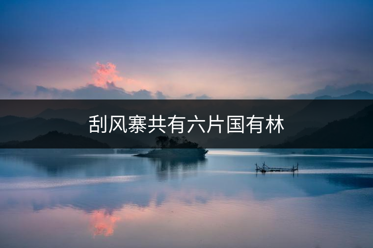 刮風(fēng)寨共有六片國(guó)有林