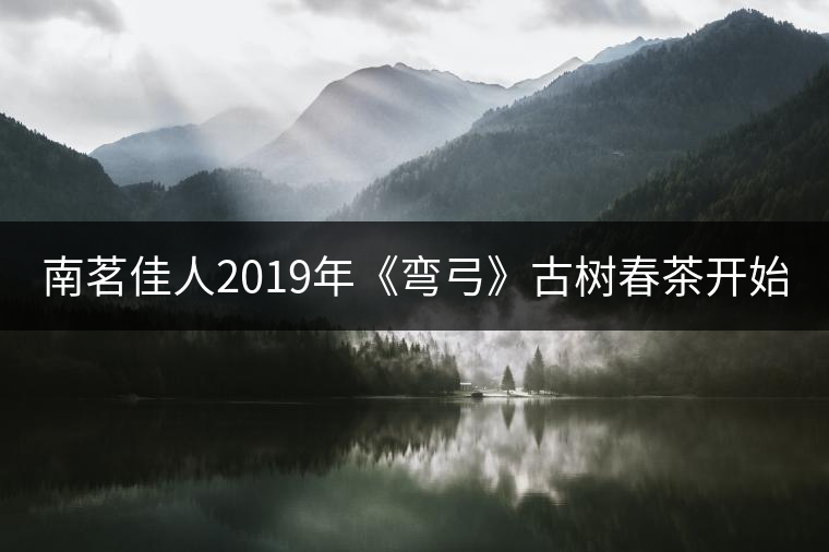 南茗佳人2019年《彎弓》古樹春茶開始預售啦！