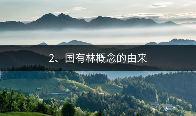 2、國(guó)有林概念的由來