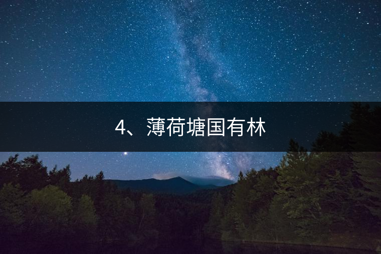 4、薄荷塘國(guó)有林