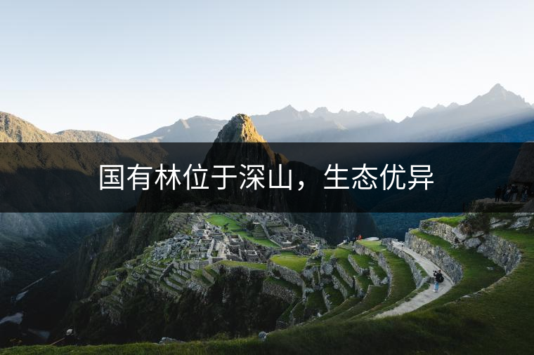 國有林位于深山，生態(tài)優(yōu)異