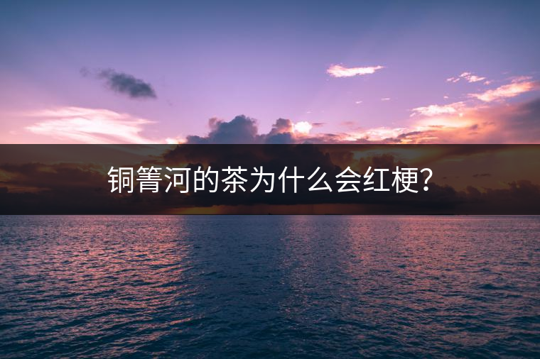 銅箐河的茶為什么會(huì)紅梗？