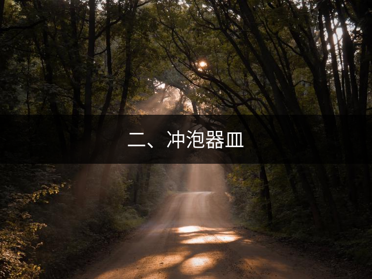 二、沖泡器皿