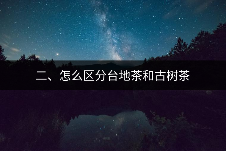 二、怎么區(qū)分臺地茶和古樹茶