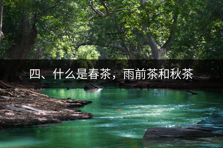 四、什么是春茶，雨前茶和秋茶