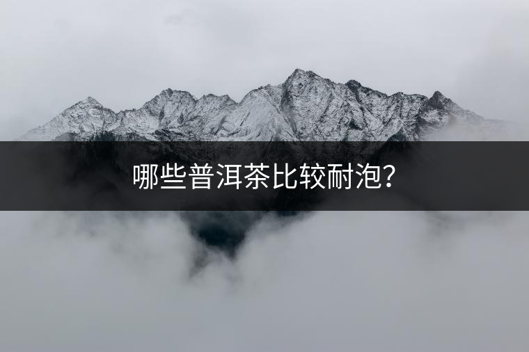哪些普洱茶比較耐泡？