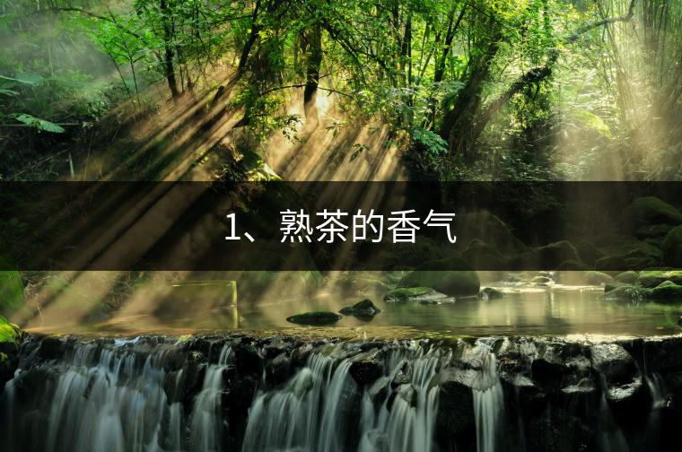 1、熟茶的香氣