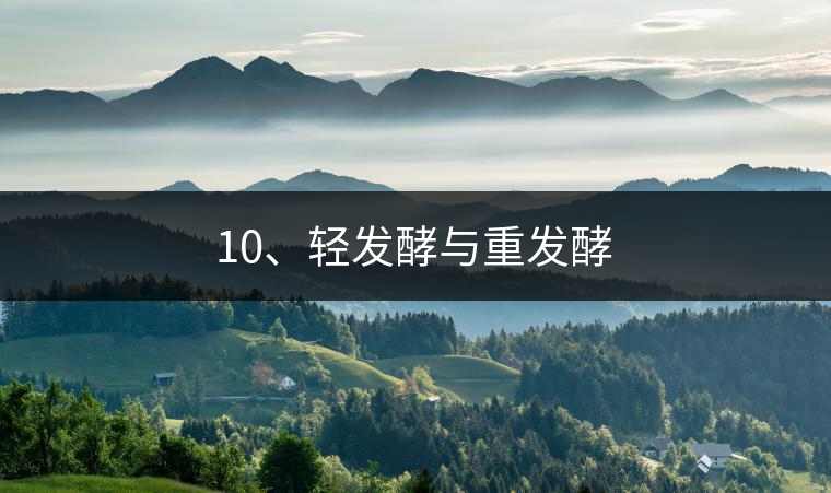 10、輕發(fā)酵與重發(fā)酵