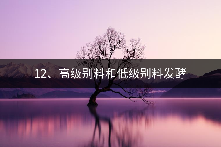 12、高級別料和低級別料發(fā)酵