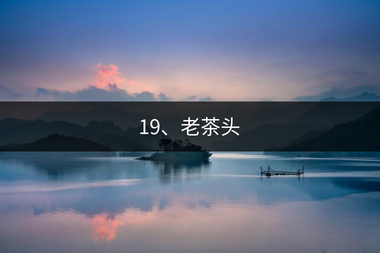 19、老茶頭
