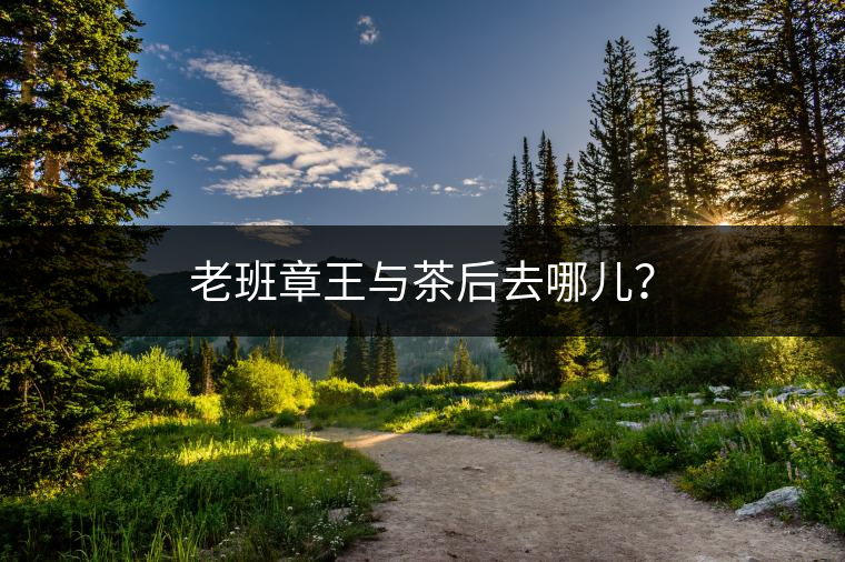 老班章王與茶后去哪兒？