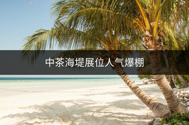 中茶海堤展位人氣爆棚