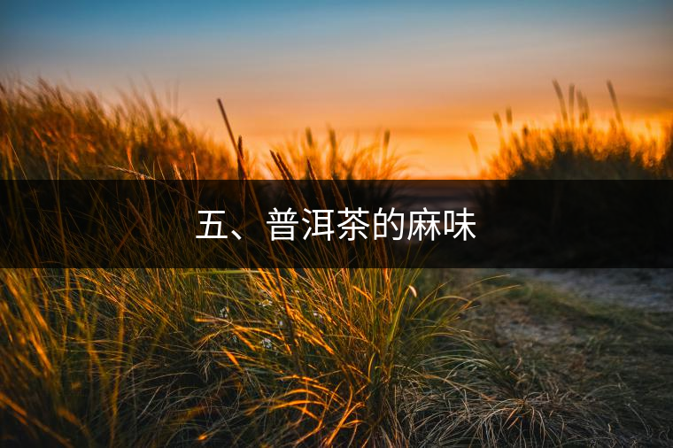 五、普洱茶的麻味