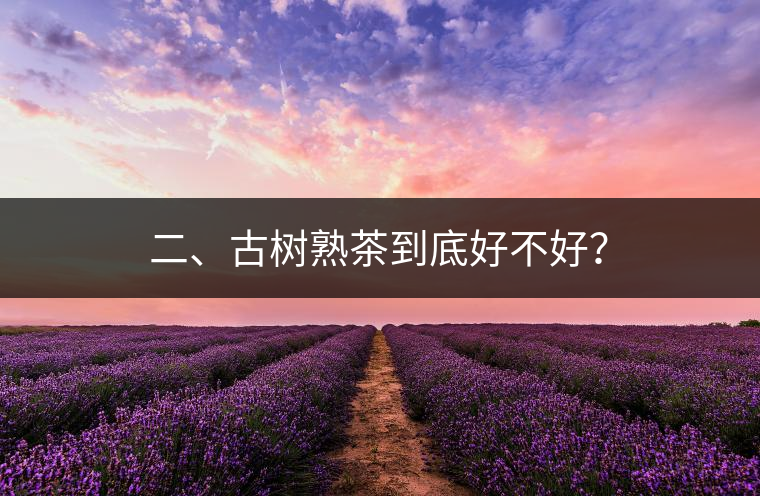 二、古樹熟茶到底好不好？