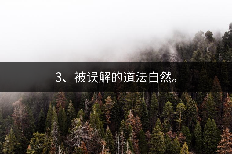3、被誤解的道法自然。