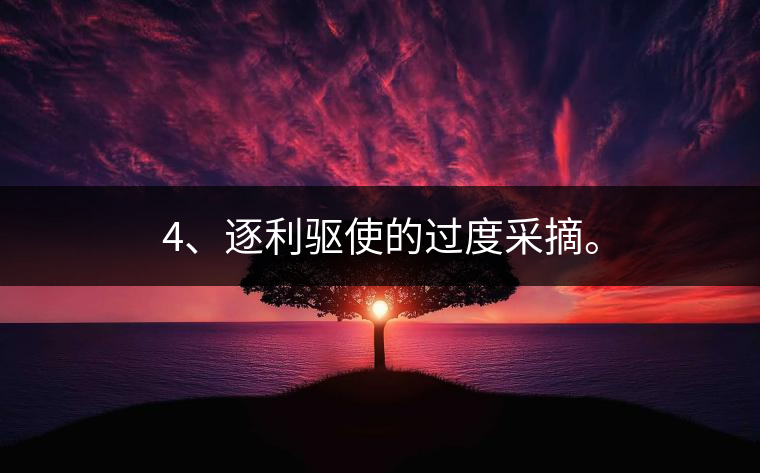 4、逐利驅(qū)使的過度采摘。