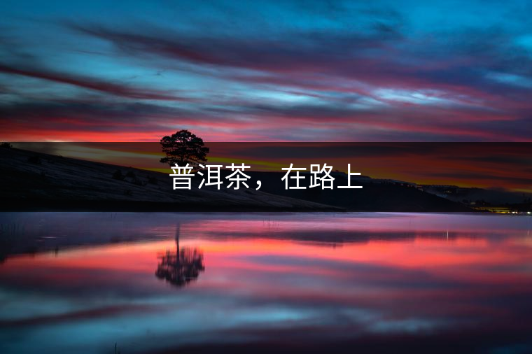 普洱茶，在路上