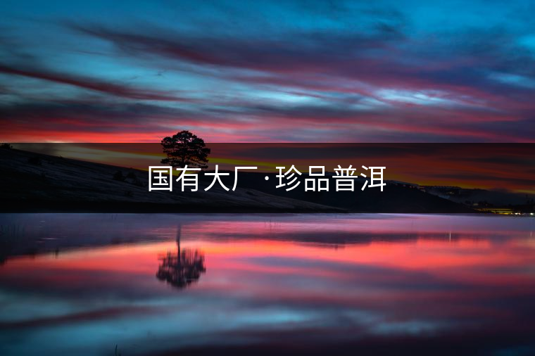 國(guó)有大廠·珍品普洱