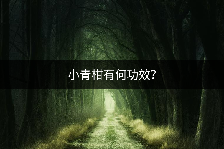 小青柑有何功效？