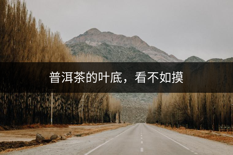 普洱茶的葉底，看不如摸