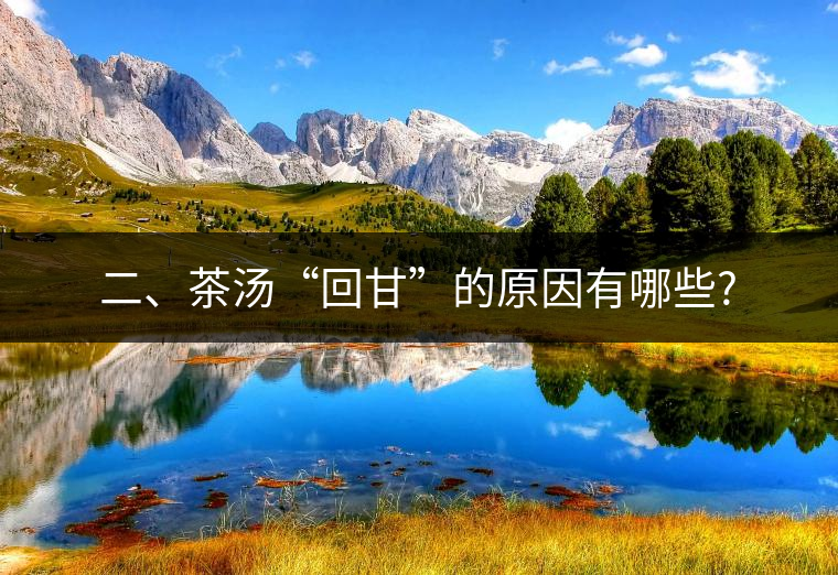 二、茶湯“回甘”的原因有哪些?